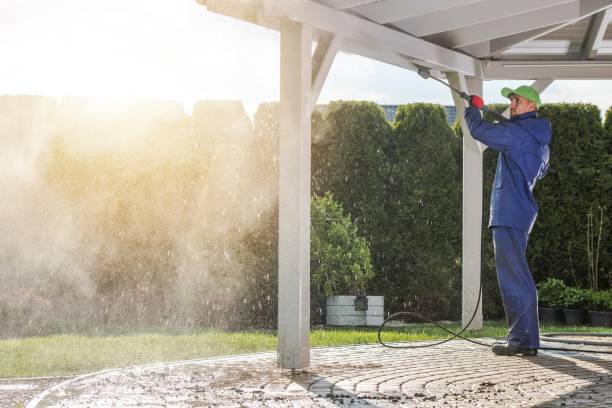 Best Sidewalk and Walkway Cleaning  in Cherryland, CA